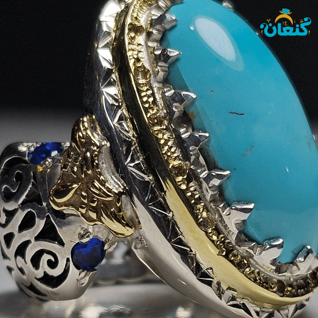 صفوی تاجدار - Image 3