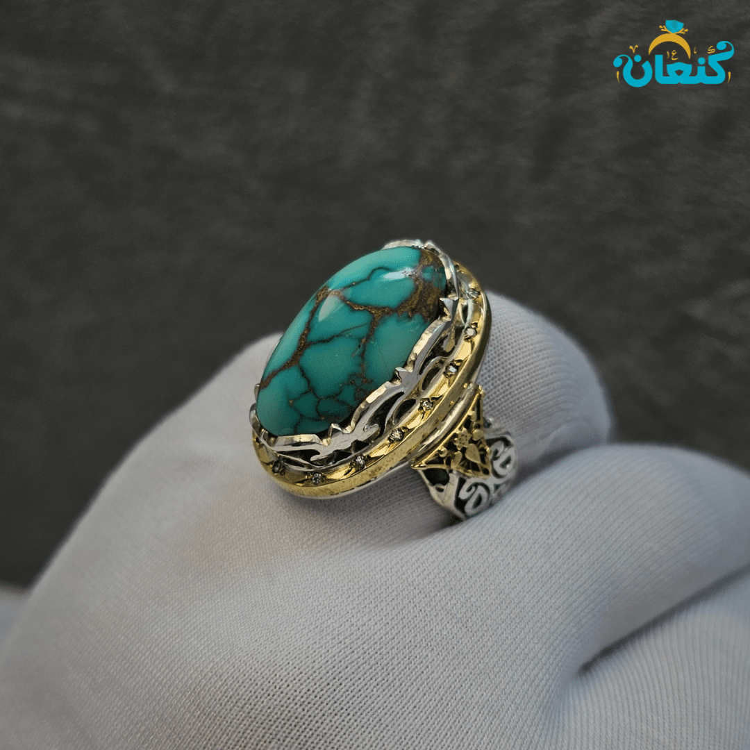 بادومی گلکاسنی نسخه صفوی تاجدار - Image 3