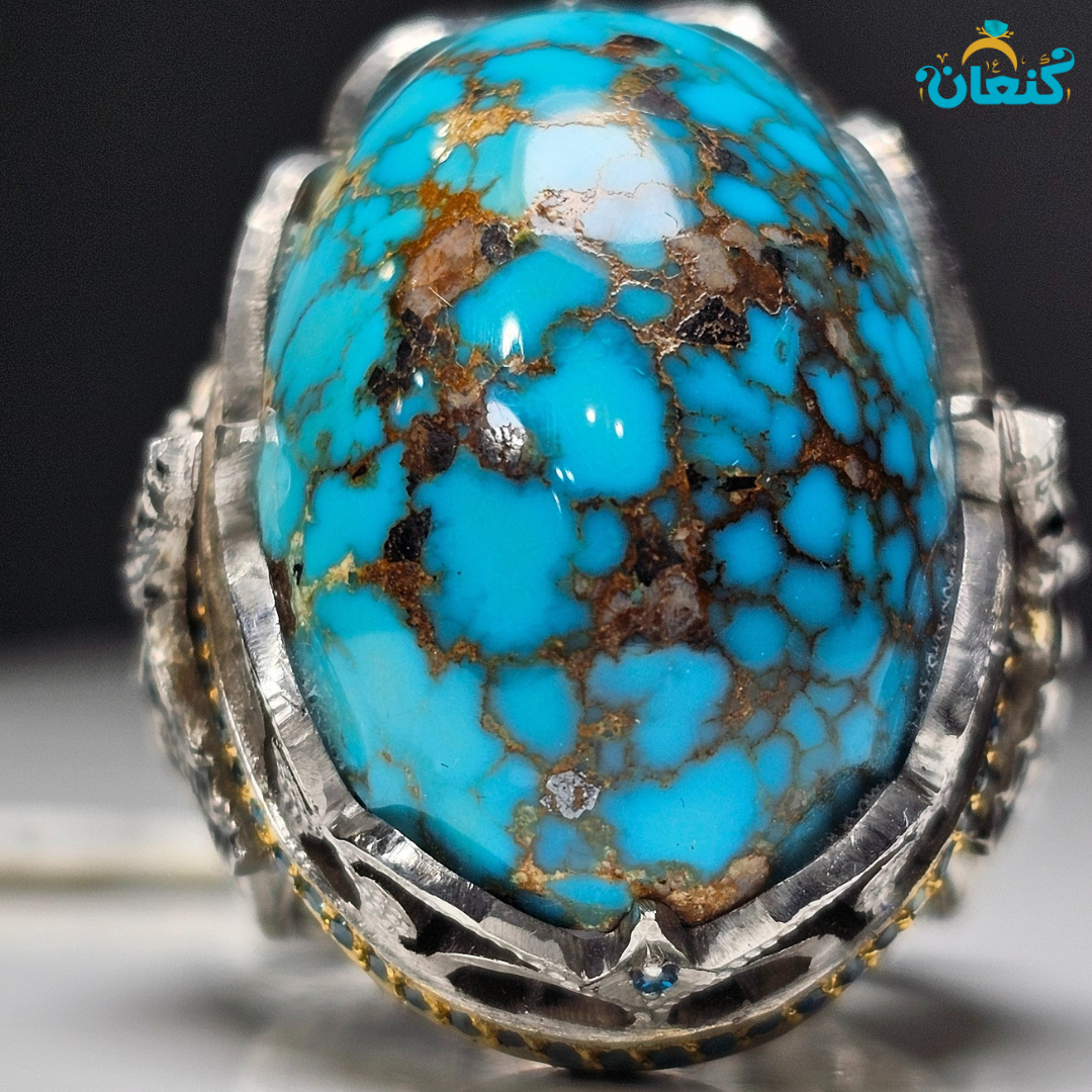 سایه حق نسخه ویژه - Image 4